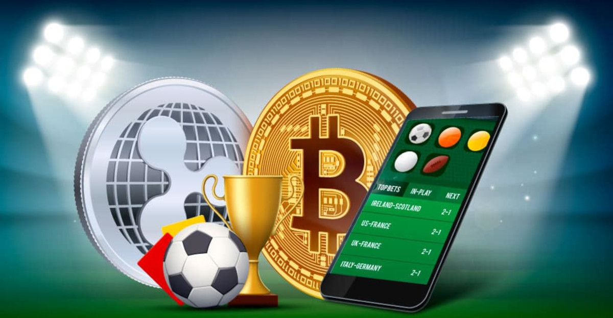 The Rise of Online Betting Exploring DB Bet